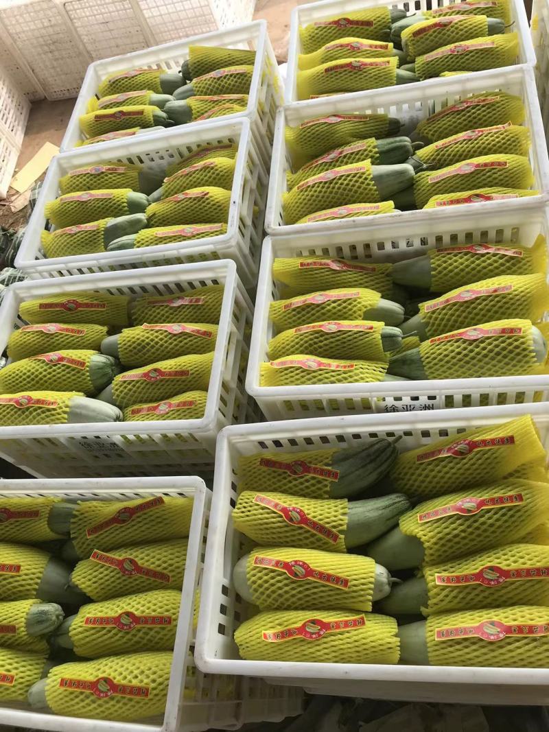 ️精品博洋61大量上市‼️产地直销️品质保证‼️