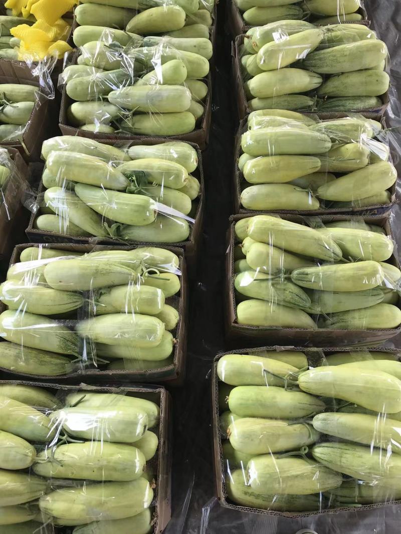 ️精品博洋61大量上市‼️产地直销️品质保证‼️