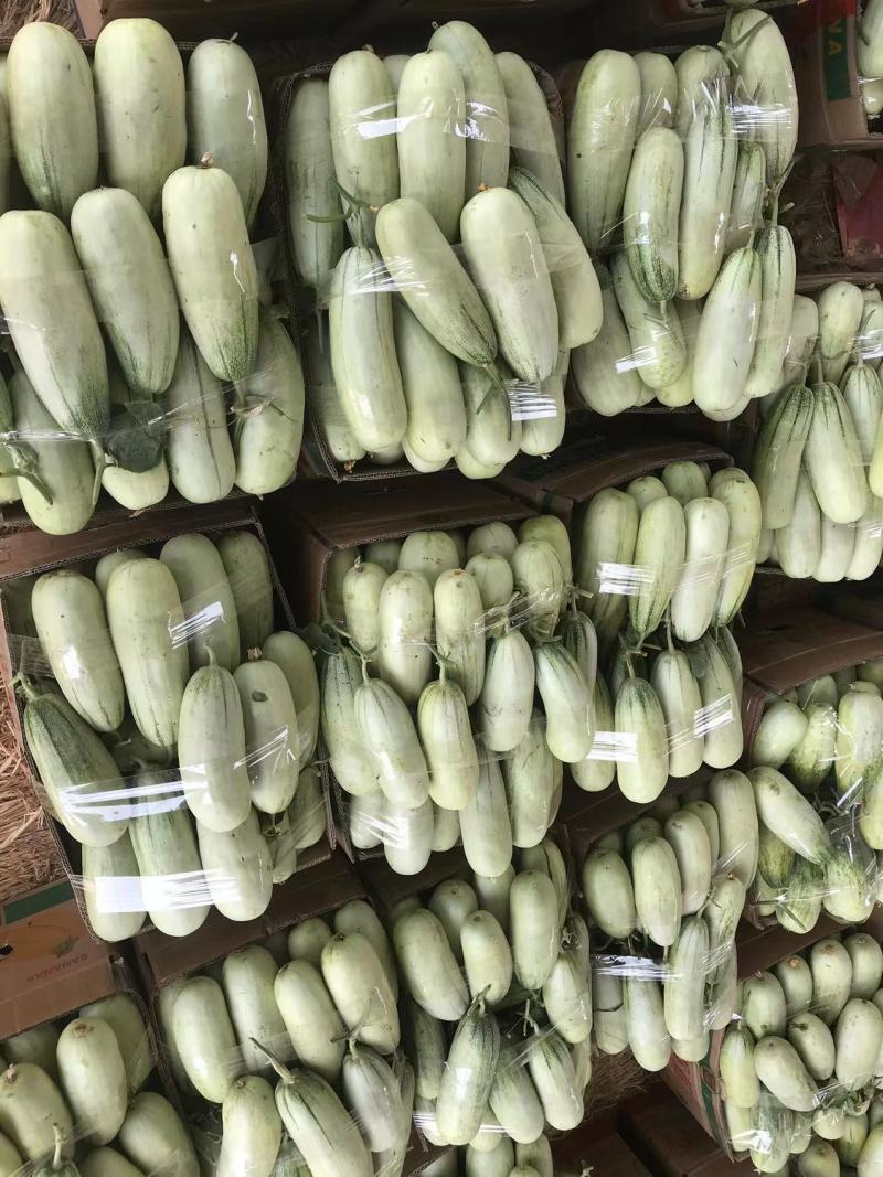 ️精品博洋61大量上市‼️产地直销️品质保证‼️