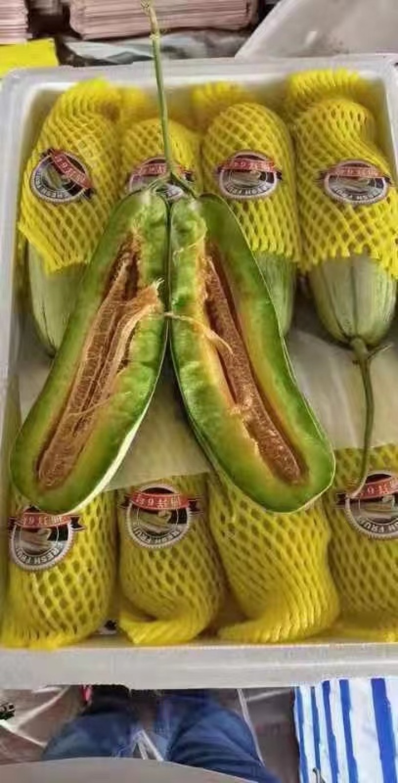 ️精品博洋61大量上市‼️产地直销️品质保证‼️