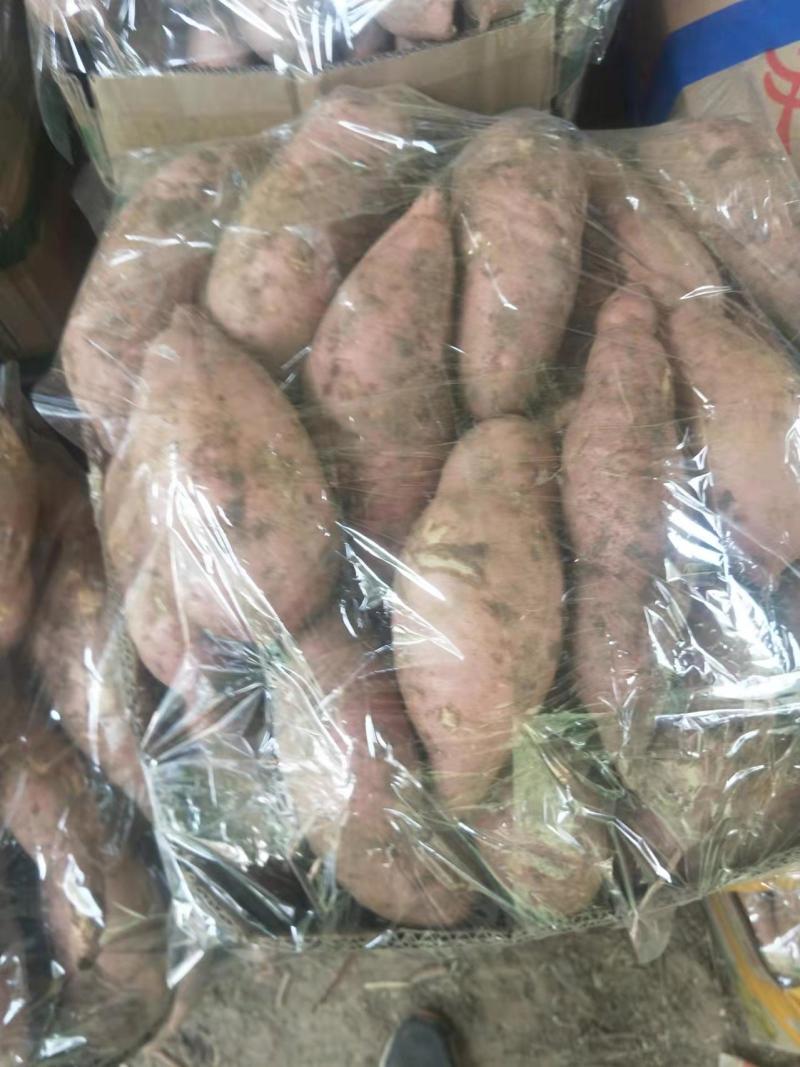 【精品】红薯，地瓜，西瓜红，龙薯九号，电商，超市，