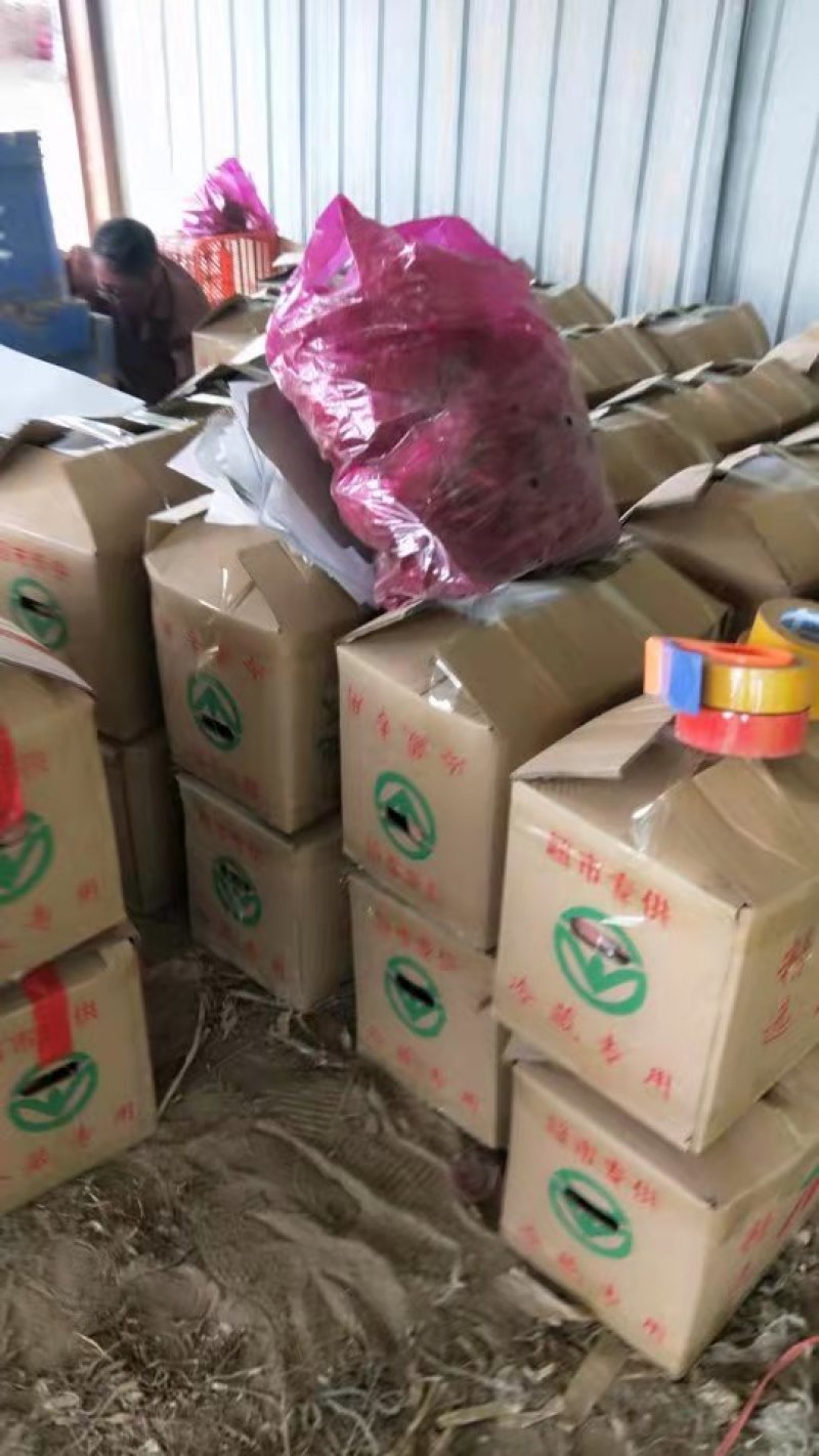 【精品】红薯，地瓜，西瓜红，龙薯九号，电商，超市，