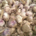 河南开封杞县大蒜精品红瓣紫皮蒜干蒜产地直发品质保证