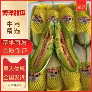 ️精品博洋61大量上市‼️产地直销️品质保证‼️