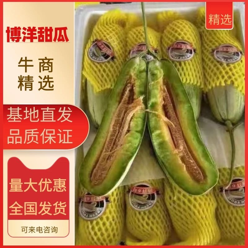 ️精品博洋61大量上市‼️产地直销️品质保证‼️