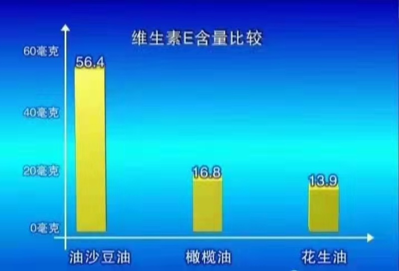 【脱皮豆】晶地达油莎豆精品优质大颗粒产地直发虎坚果