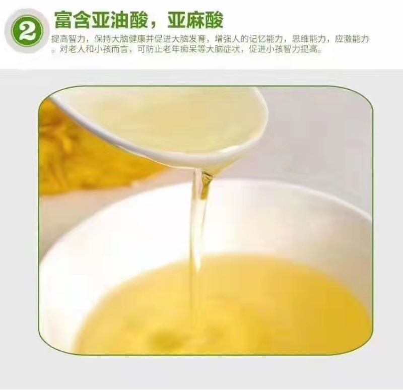 【脱皮豆】晶地达油莎豆精品优质大颗粒产地直发虎坚果