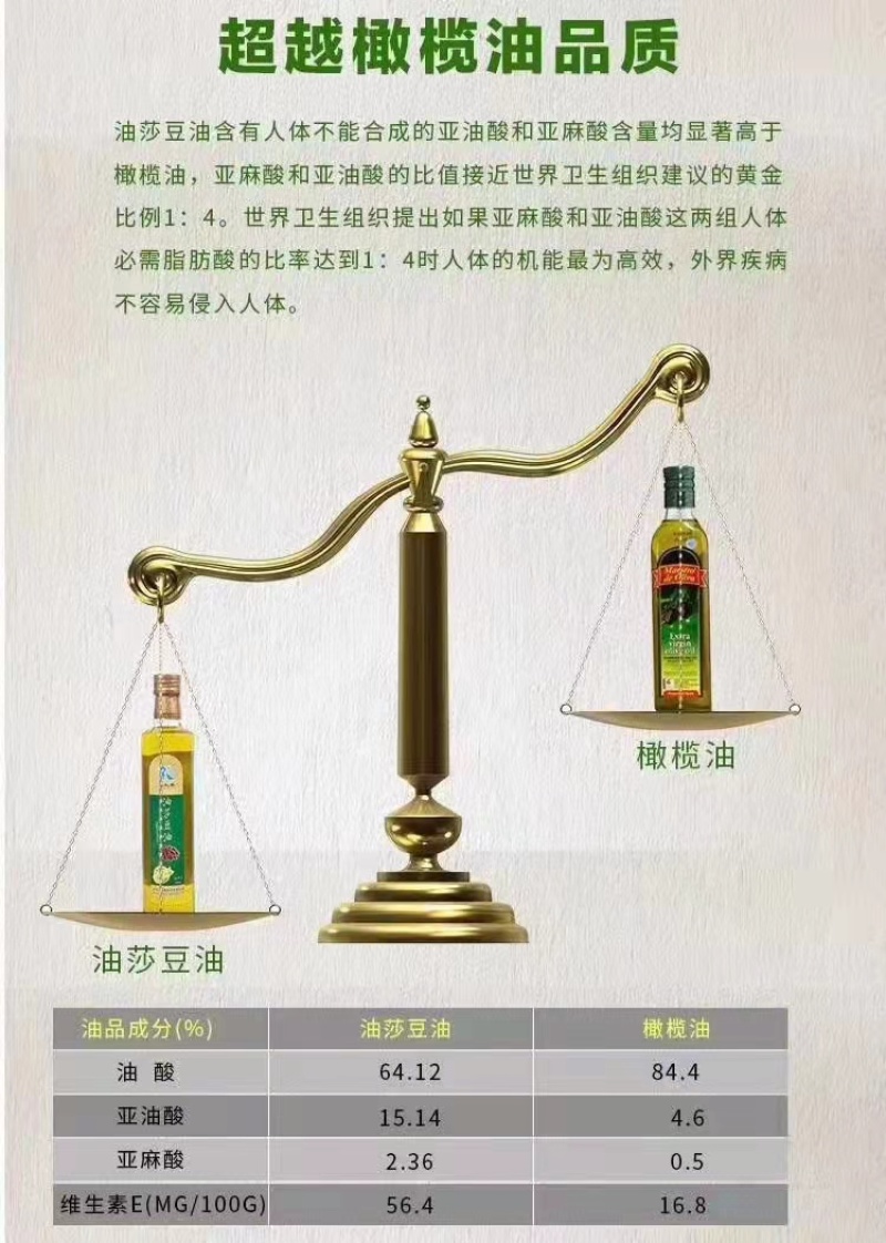 【脱皮豆】晶地达油莎豆精品优质大颗粒产地直发虎坚果