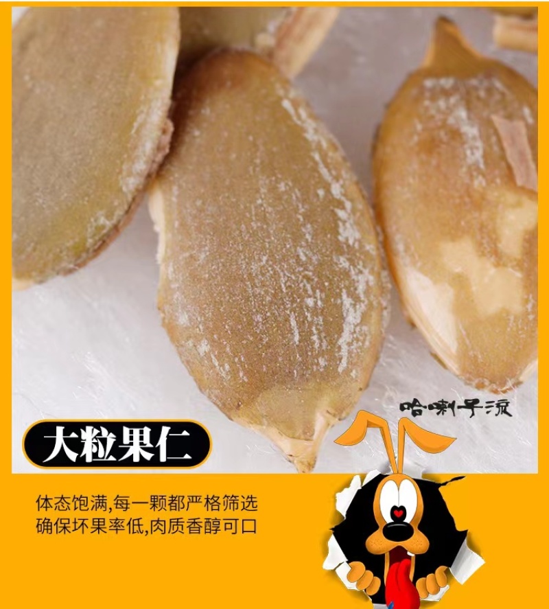 南瓜子手抓包五香味独立包装小包装