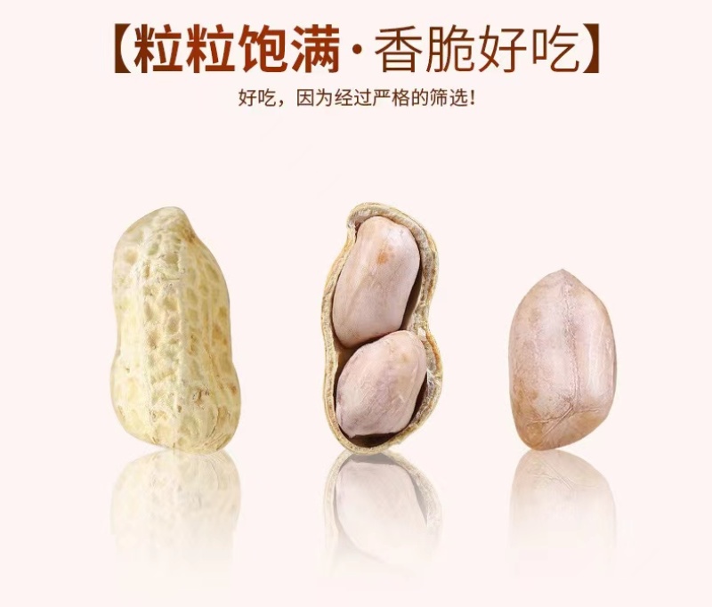 精品新鲜蒜香味花生厂家直发品质保证诚信经营欢迎咨询