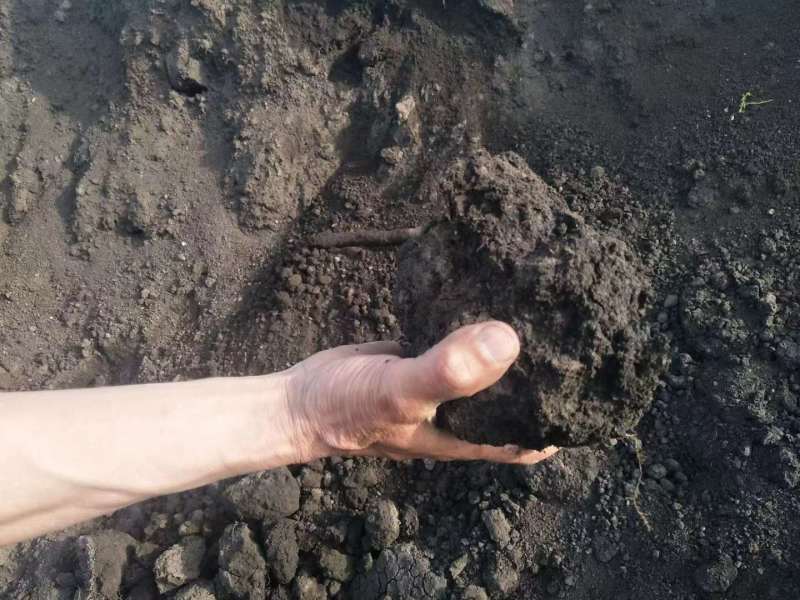 若尔盖牛羊粪产地直发，货源充足，肥效持久欢迎来电咨询