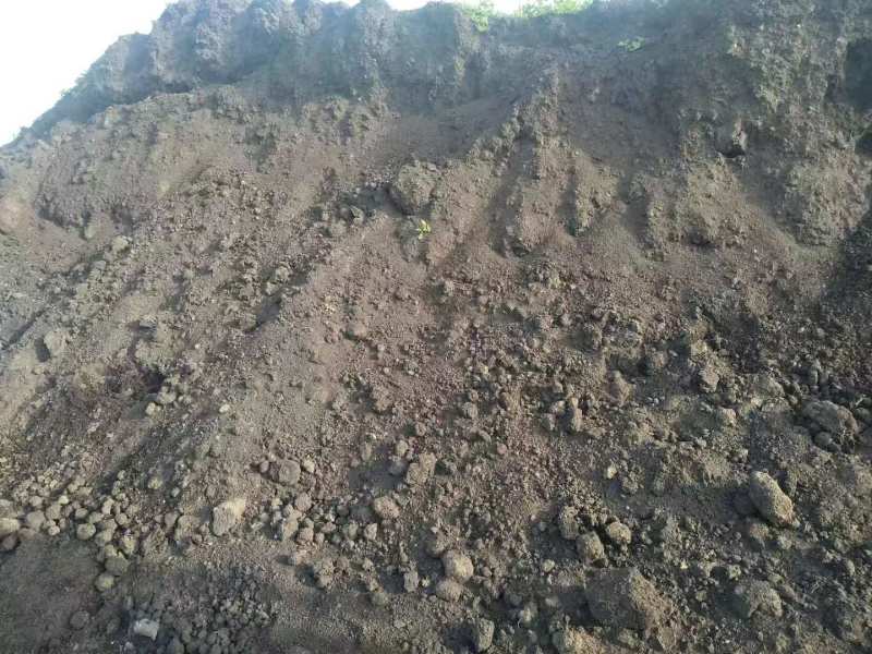若尔盖牛羊粪产地直发，货源充足，肥效持久欢迎来电咨询