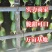 【精品】水果萝卜大量出售!全国发货,商超,电商,加工