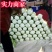 【精品】黄心白菜4~6斤纯净菜，供应超市市场批发！