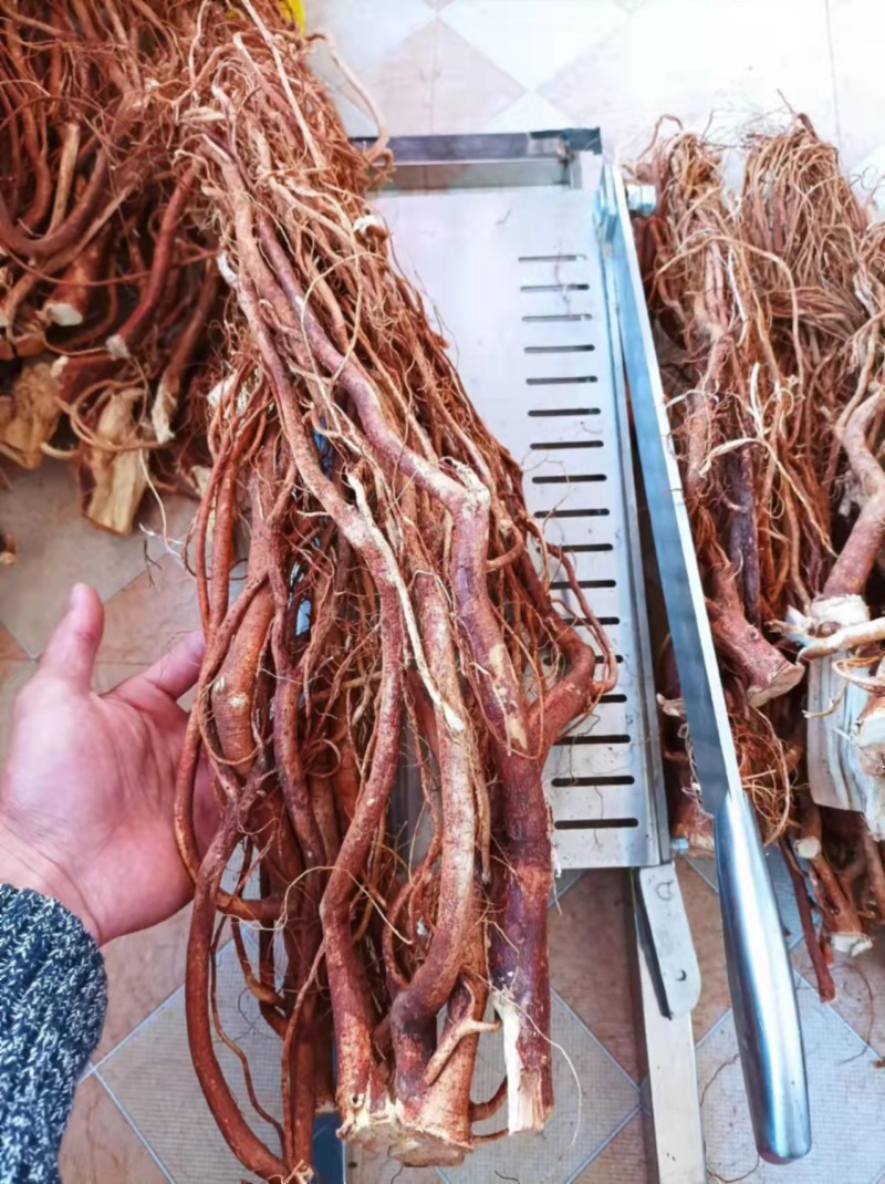 正宗红土种植五指毛桃干货无熏硫长扎把头片