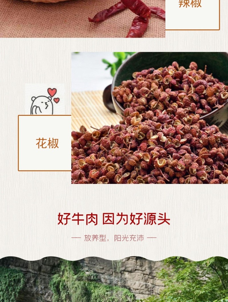 风干牛肉干展会商场地摊休闲零食小吃跑江湖