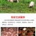 四川腊肠鲜肉肠麻五香香肠农家正宗烟熏腊肠特产特色