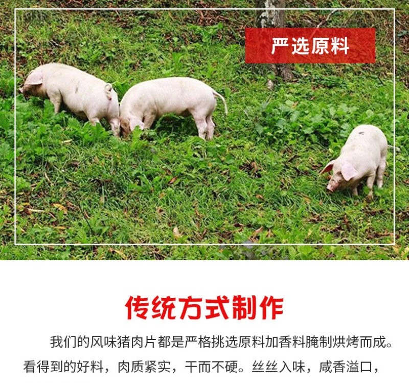 正宗内蒙古特产手撕风干肉干手撕肉干猪肉干片五香麻辣