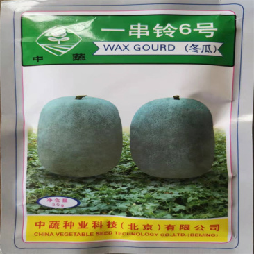 中蔬一串铃冬瓜种子20g粉皮早熟小冬瓜种子一串铃6号冬瓜