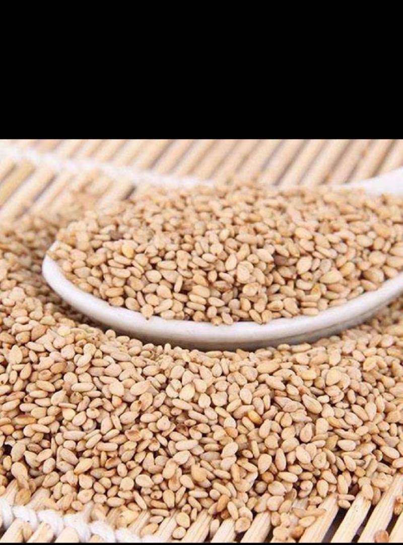 白芝麻粉（熟）60目，五谷杂粮，厂家直销，量大优惠