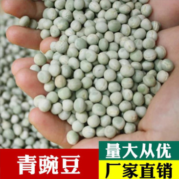 跑江湖地摊干青豌豆批发现货供应带皮豌豆绿豌豆