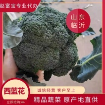 山东西蓝花，精品西兰花0.8~1.2斤基地直发一手货