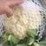 【推荐】新野青梗白面小米有机菜花，大量上市，价格美丽