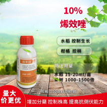 10%烯效唑剑牌剑丰园控旺矮化密植果树水稻