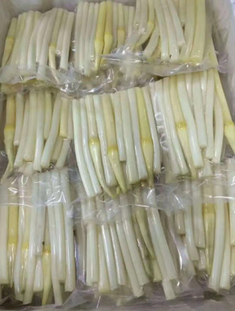 湖北藕带藕尖精品货源口感清脆可持续大量供货价格优惠欢迎采购