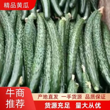 【热销】河南商丘，密刺黄瓜，一件代发，诚信合作。