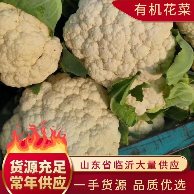 花菜，产地直供，货量充足，量大价优！