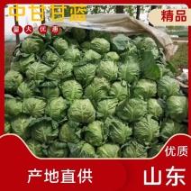 中甘21甘蓝1~2公斤精品，质量好，需要的老板联系