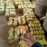 博洋甜瓜91甜瓜大量供应品种多样规格齐全基地直发