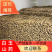 山东聊城莘县白玉山药抢购中，
