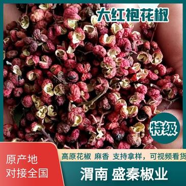 【包邮拿样】陕西韩城大红袍花椒特级拿样5斤装
