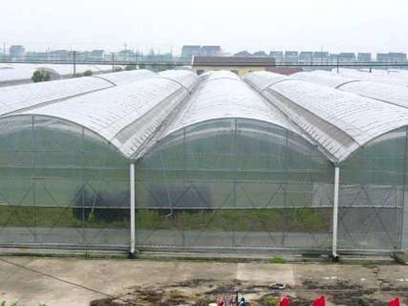 连栋温室薄膜连栋连体大棚育苗棚简易连体棚草莓棚葡萄避雨棚