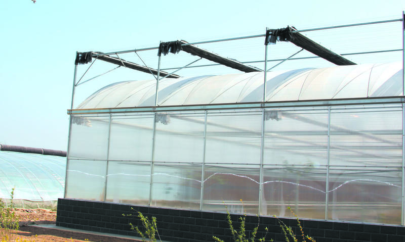 连栋温室薄膜连栋连体大棚育苗棚简易连体棚草莓棚葡萄避雨棚