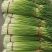 白帽、红帽蒜薹干苔苔长80一手货源产地直发