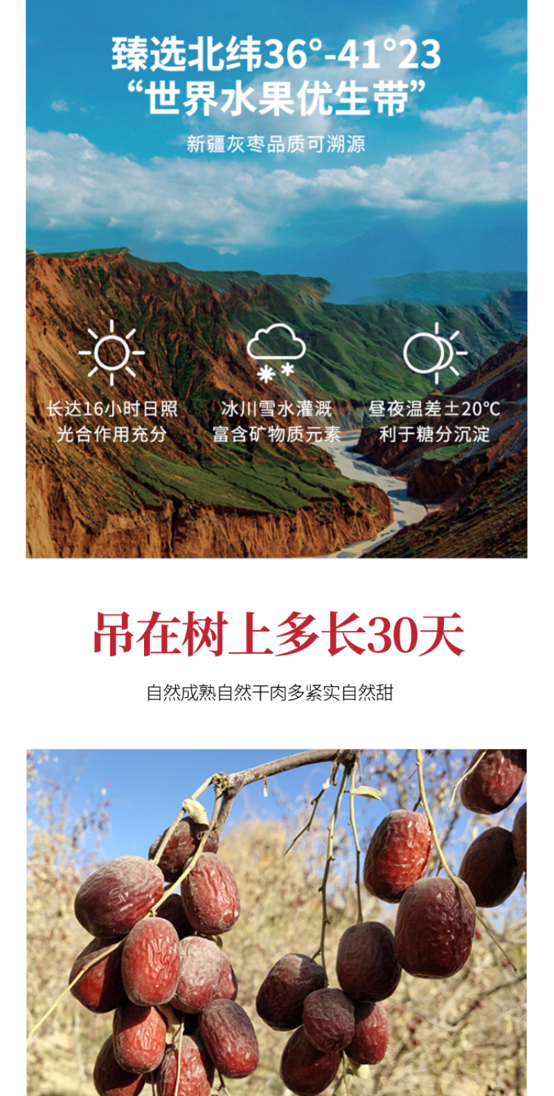 神农唛精选若羌红枣500g/袋