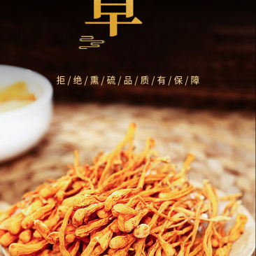 神农唛精选蛹虫草150g/袋