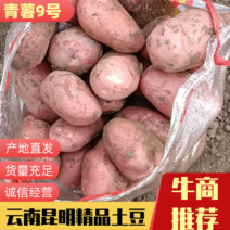 云南土豆昆明青薯9号土豆量大价优可视频看货欢迎来电咨询