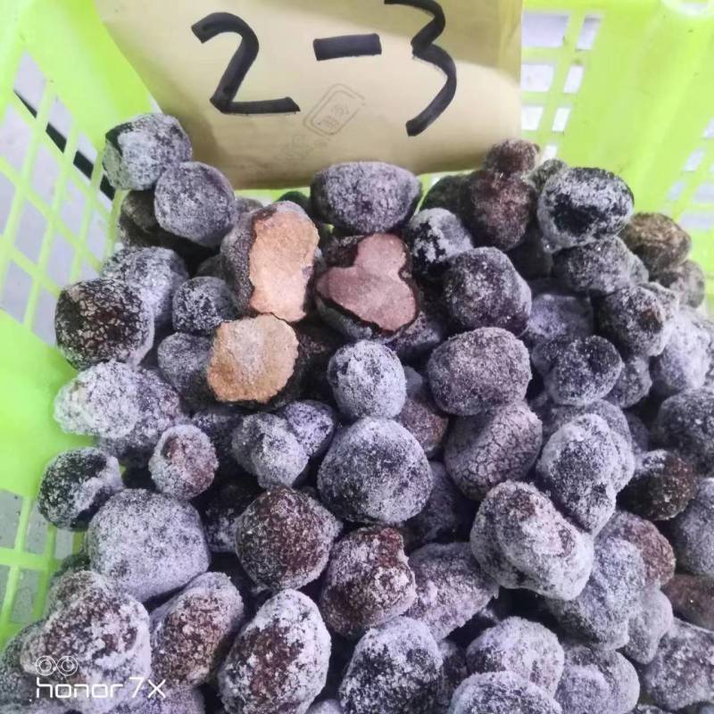 【松露】白松露产地直销量大从优全国发货品质保证
