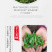 江西修水宁红工夫茶120g盒装小包装清香型早茶下午茶