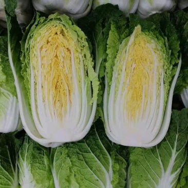 精品黄心白菜，产地直销，货源充足，保质保量，随行就市
