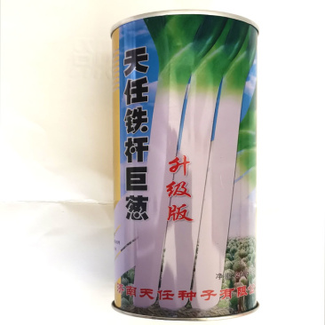 铁杆大葱种子巨葱高产早熟抗病强抗倒伏章丘大梧桐四季种植