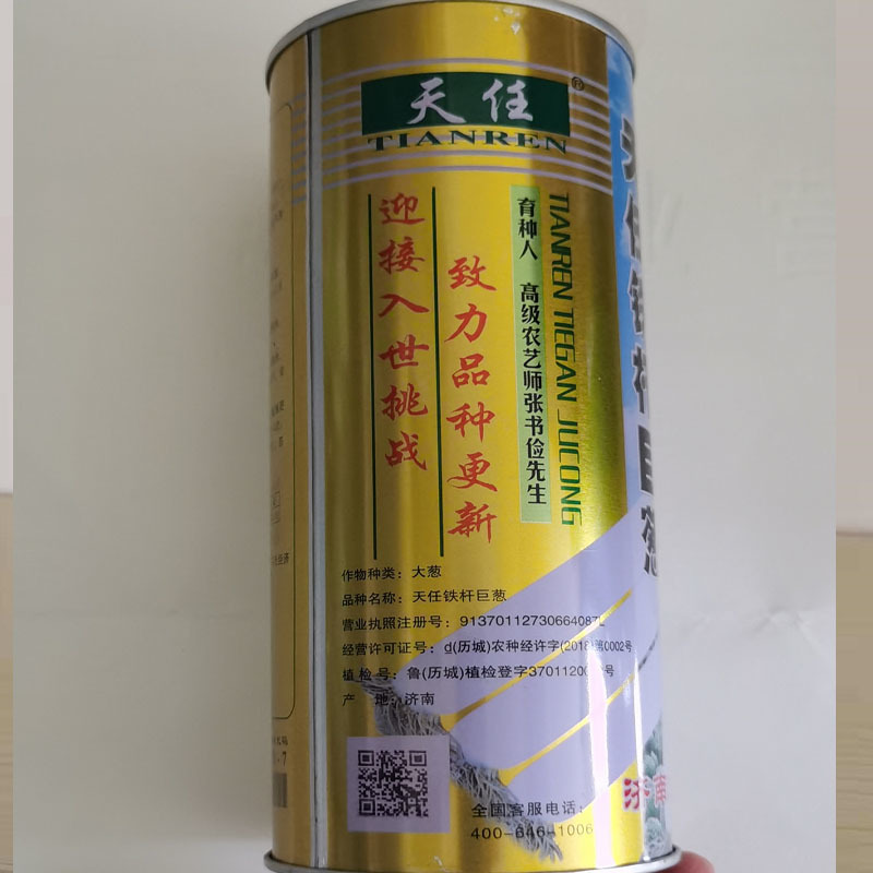 铁杆大葱种子巨葱高产早熟抗病强抗倒伏章丘大梧桐四季种植