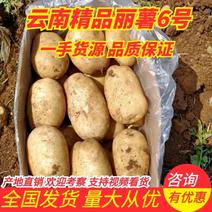 云南精品土豆丽薯6号产地直销货源充足质优价廉可视频