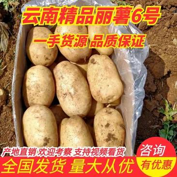 云南精品土豆丽薯6号产地直销货源充足质优价廉可视频看货