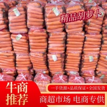 胡萝卜产地直销可视频看货量大从优全国发货