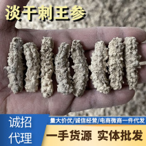 淡干刺王参干货刺皇海参有刺小黄玉批发斯里兰卡小刺参非印尼